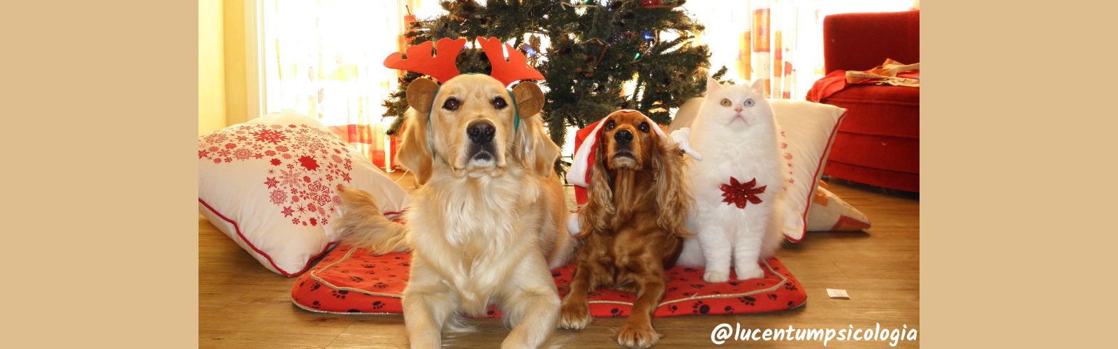 Emociones y mascotas como regalo de Navidad en la familia